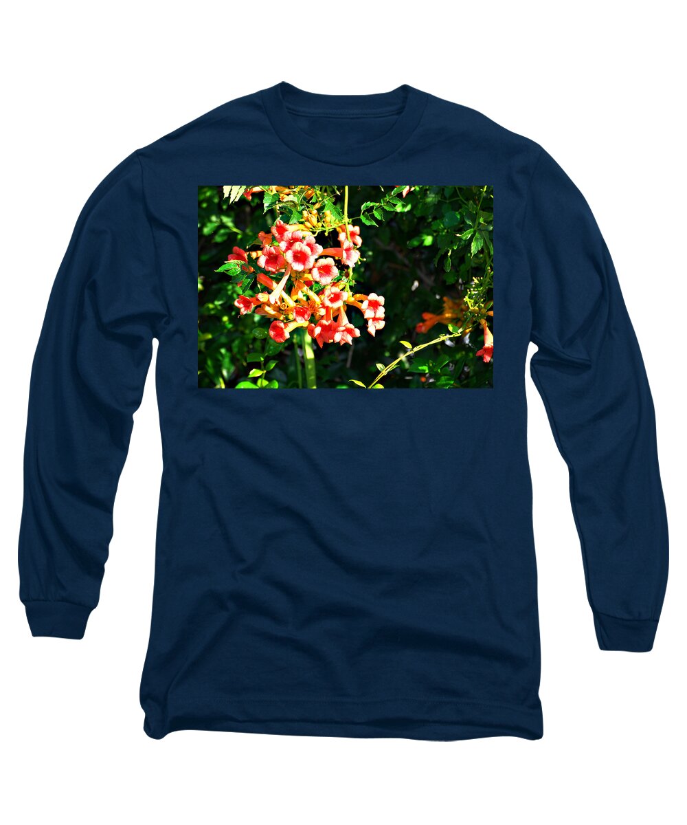 Botanical Long Sleeve T-Shirt featuring the photograph Trumpet Vine by Linda Cox