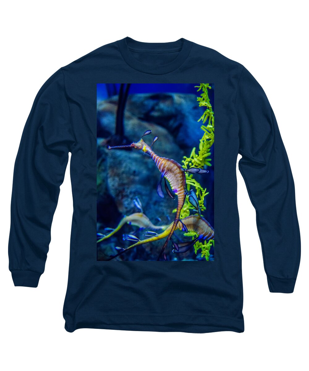Dragon Long Sleeve T-Shirt featuring the photograph Weedy Seadragon by Alex Grichenko