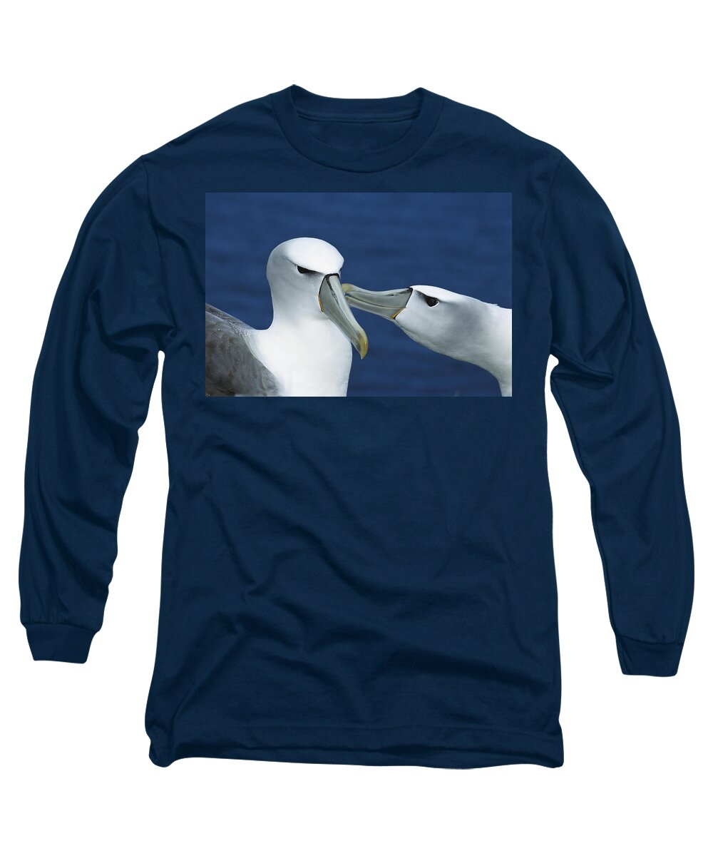 00142939 Long Sleeve T-Shirt featuring the photograph White-capped Albatrosses Courting by Tui De Roy