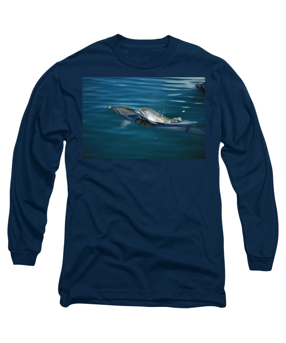 Mp Long Sleeve T-Shirt featuring the photograph Bottlenose Dolphin Tursiops Truncatus #7 by Konrad Wothe