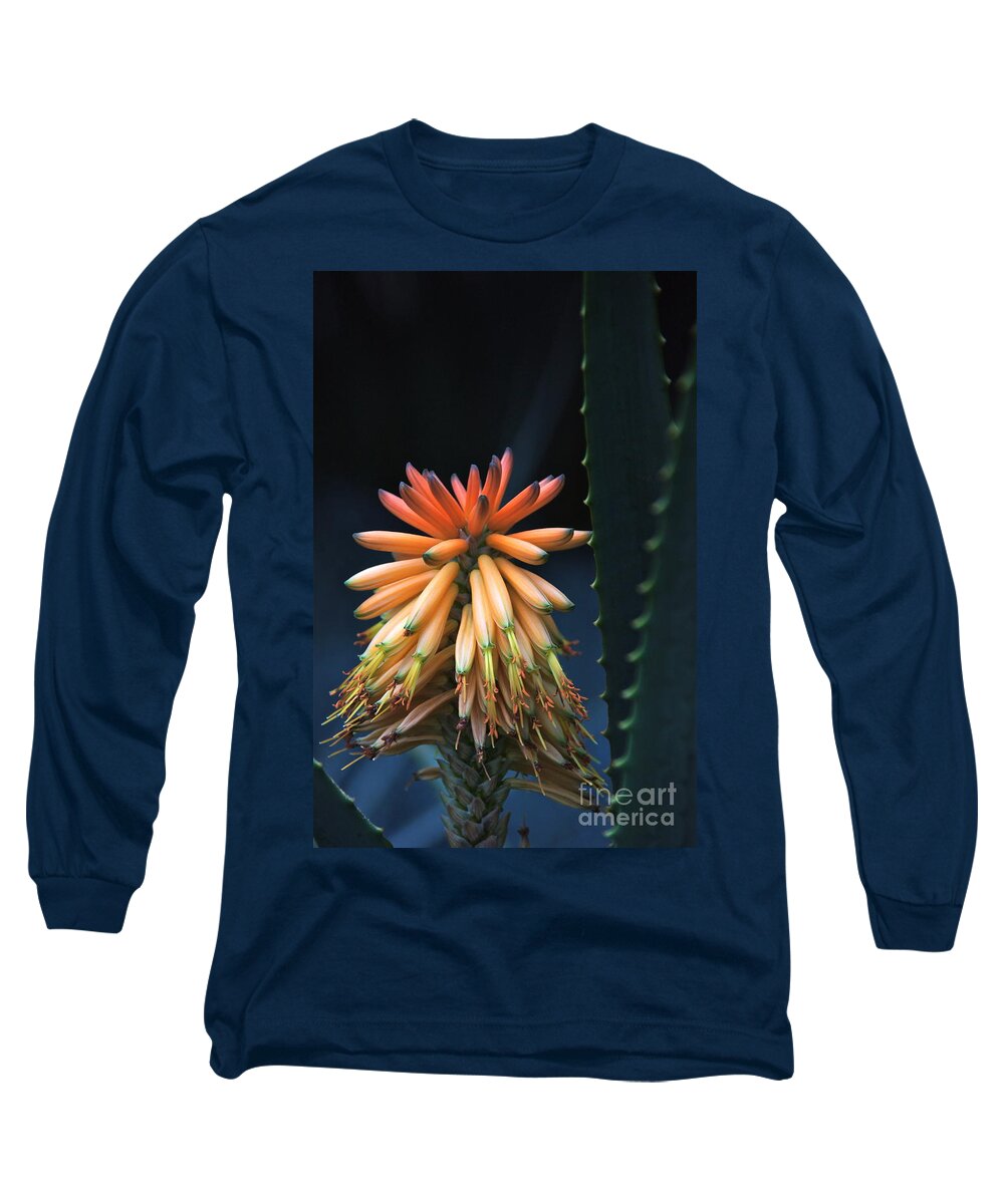 Aloe Long Sleeve T-Shirt featuring the photograph Candelabra Aloe by Byron Varvarigos