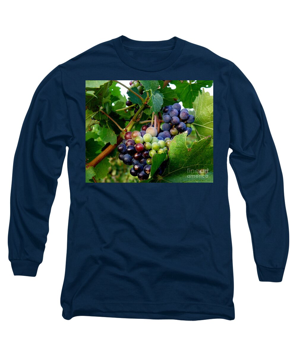 France Long Sleeve T-Shirt featuring the photograph Not Yet by Lainie Wrightson