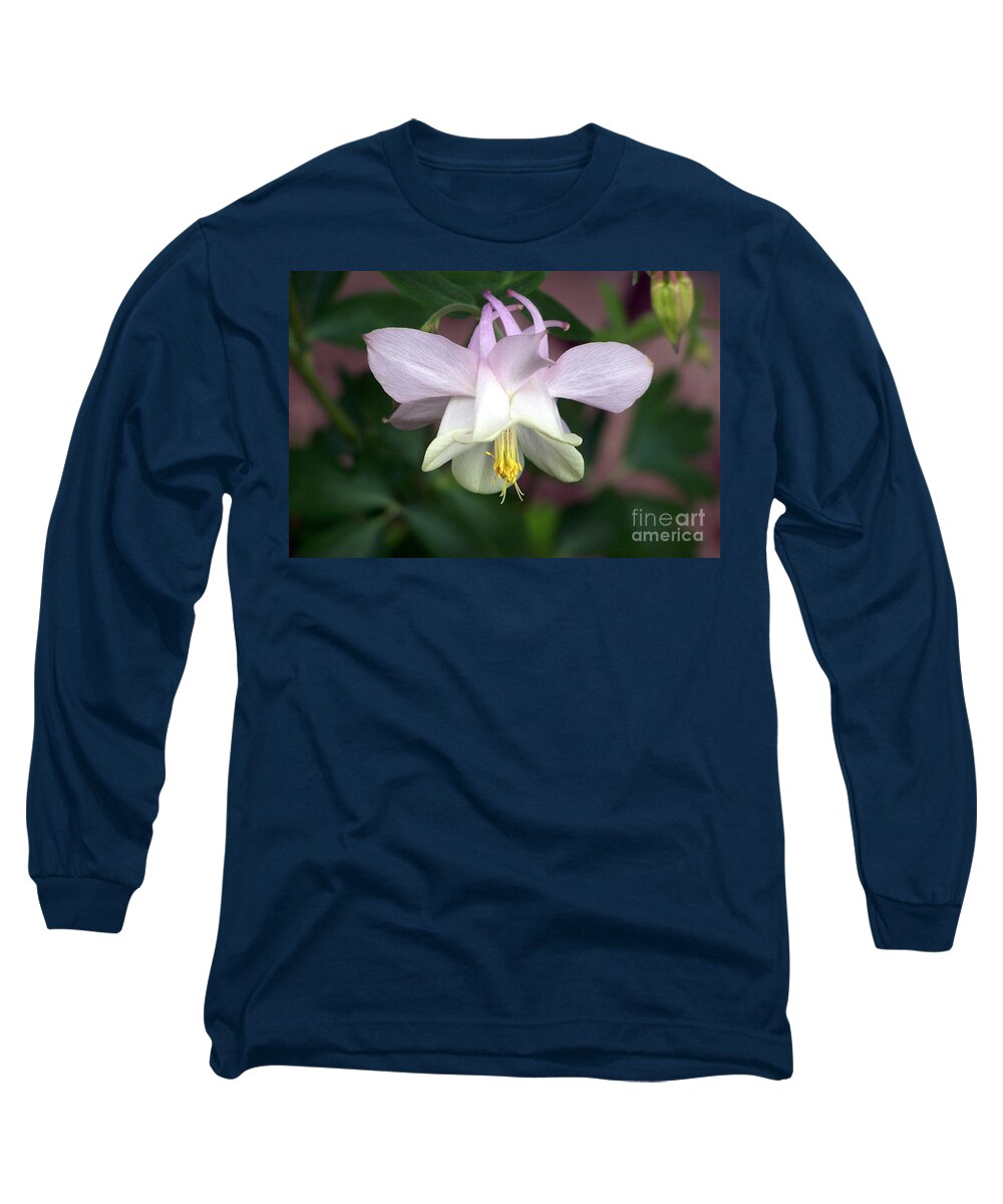 Columbine Long Sleeve T-Shirt featuring the photograph Pink Perfection by Dorrene BrownButterfield