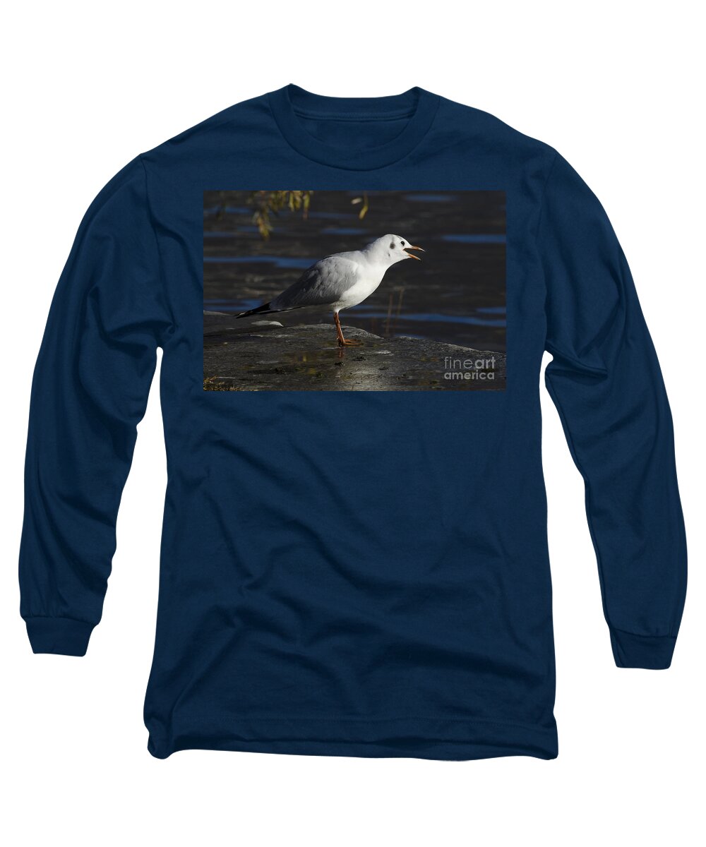 Seagull Long Sleeve T-Shirt featuring the photograph Talking bird by Mats Silvan