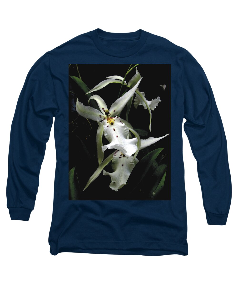 White Long Sleeve T-Shirt featuring the photograph White orchid by Rudy Umans