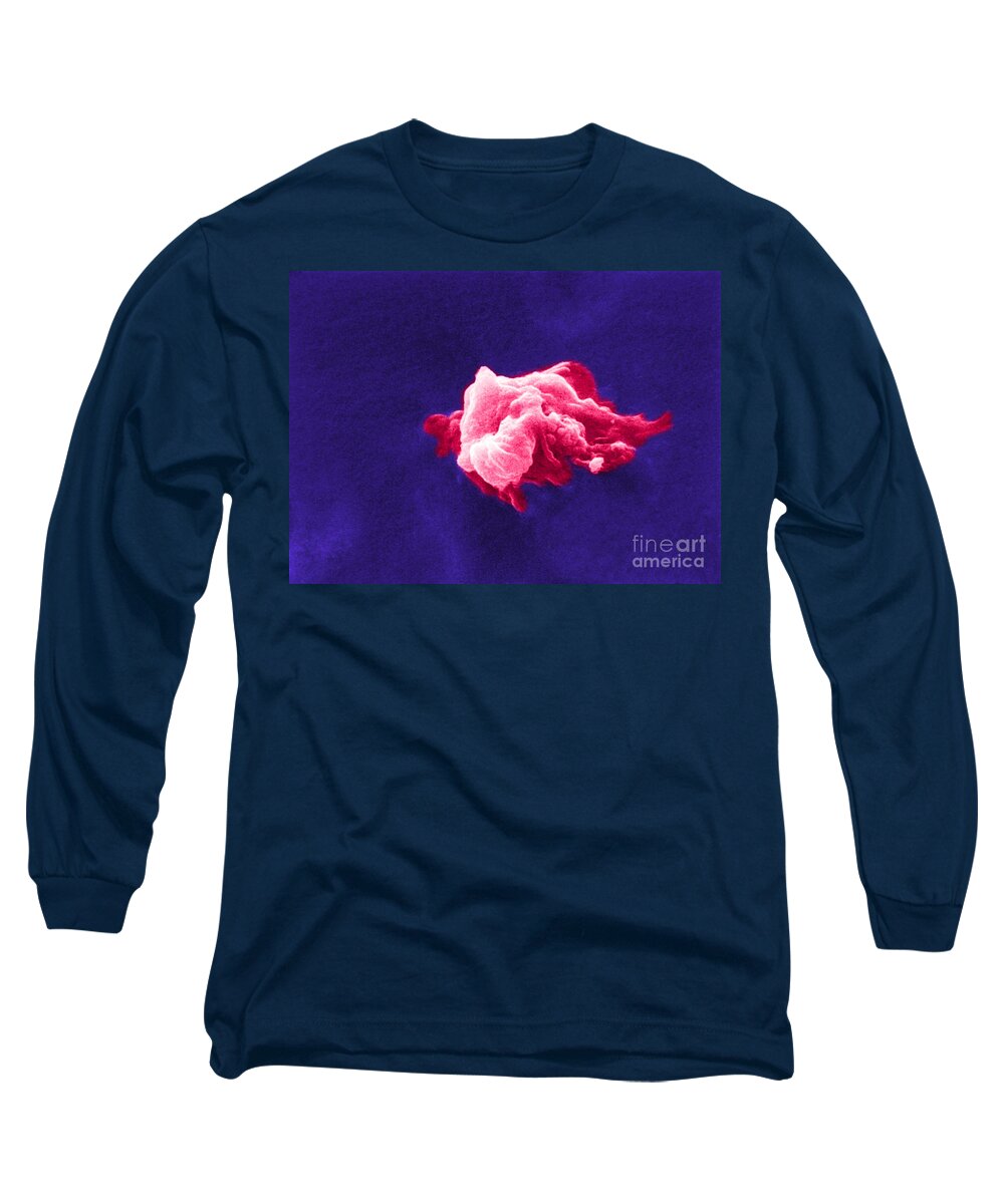 Scanning Electron Micrograph Long Sleeve T-Shirt featuring the photograph Cancer Cell Death, Sem 6 Of 6 #1 by Science Source