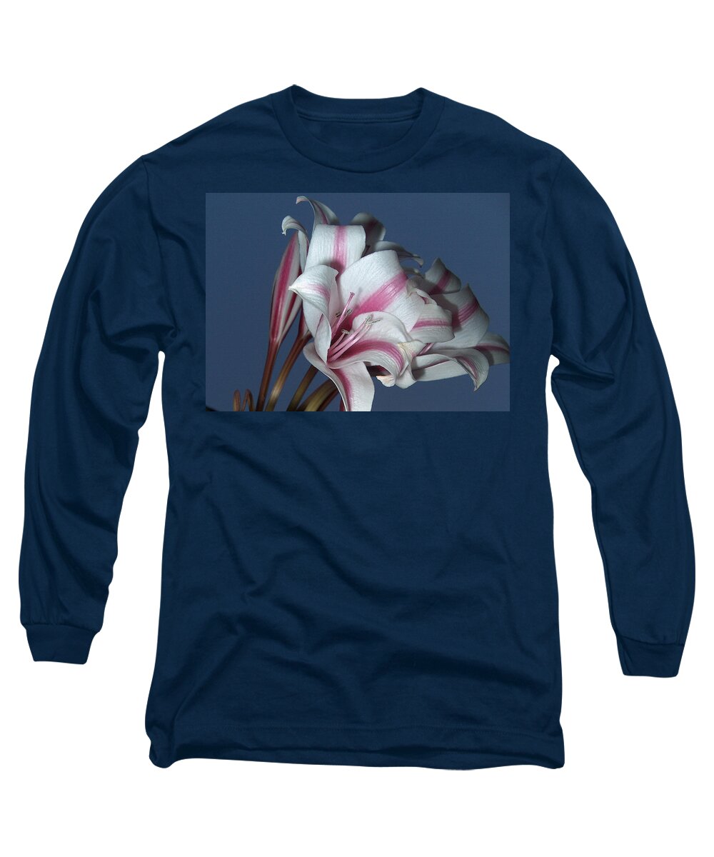 Star Long Sleeve T-Shirt featuring the photograph Star Flower #1 by Bertie Edwards