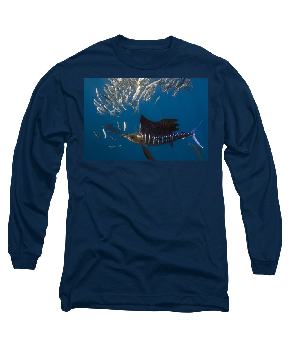 Mp Long Sleeve T-Shirt featuring the photograph Atlantic Sailfish Istiophorus Albicans #4 by Pete Oxford