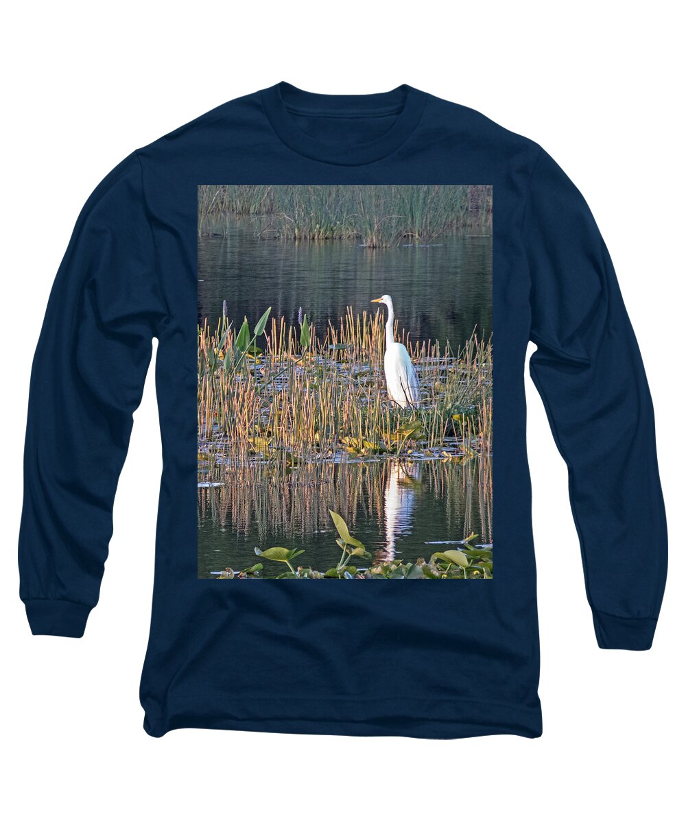 Egret Long Sleeve T-Shirt featuring the photograph Awake by T Guy Spencer
