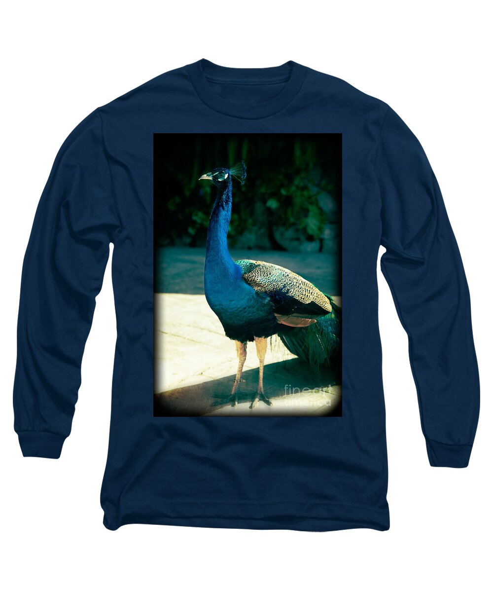 Peacock Long Sleeve T-Shirt featuring the photograph Awakening by Kathy Strauss