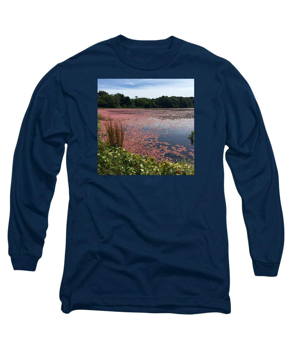 Cape Cod Long Sleeve T-Shirt featuring the photograph Cape Cod Cranberry Bog by Beth Saffer