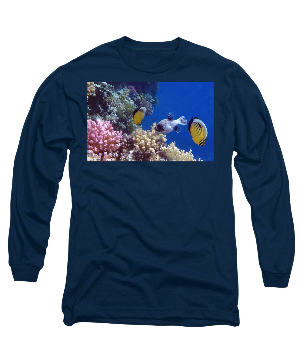 Sea Long Sleeve T-Shirt featuring the photograph Colorful Red Sea fish and corals by Johanna Hurmerinta