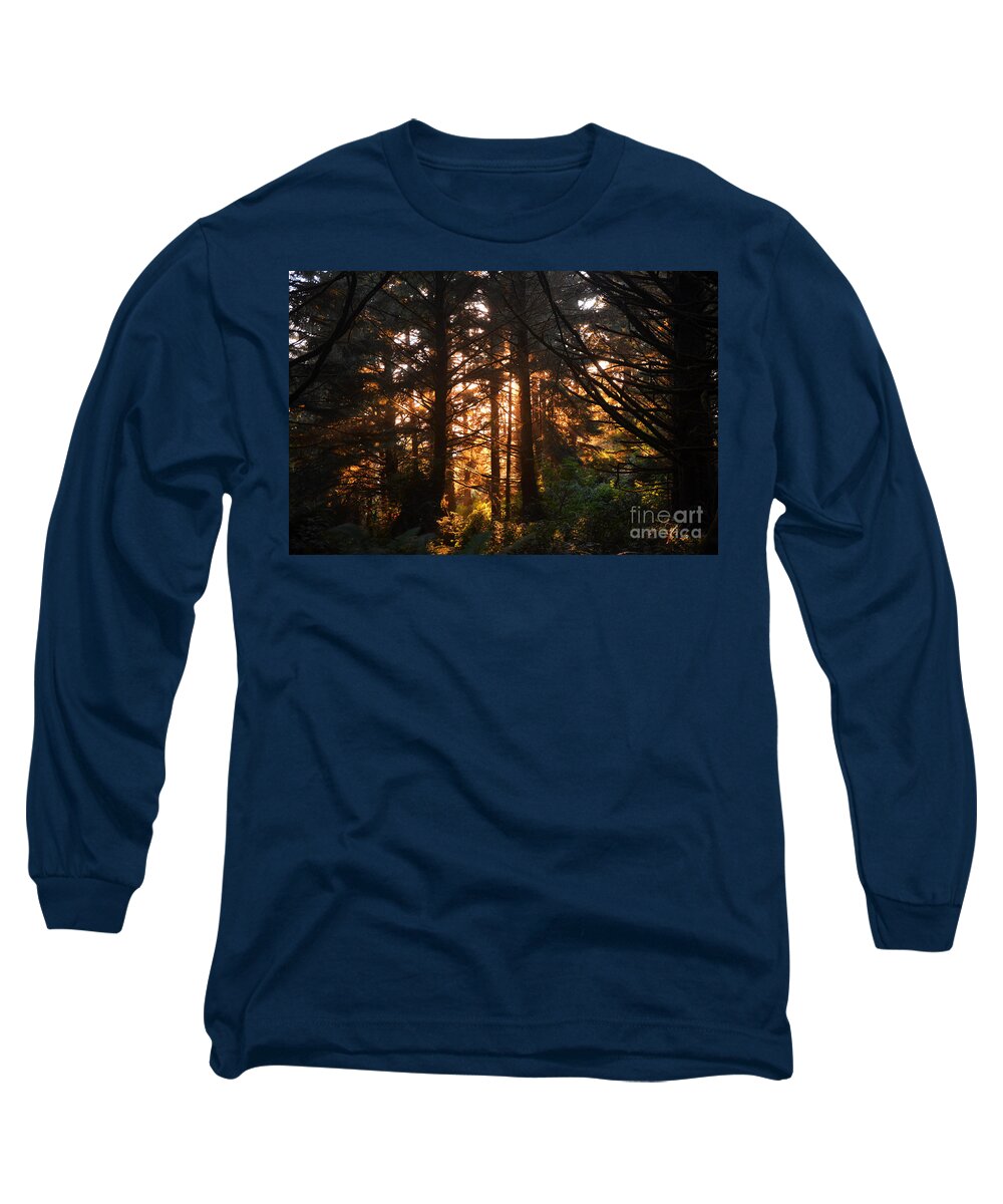 Trees Long Sleeve T-Shirt featuring the photograph Enchanted Forest by Frank Larkin