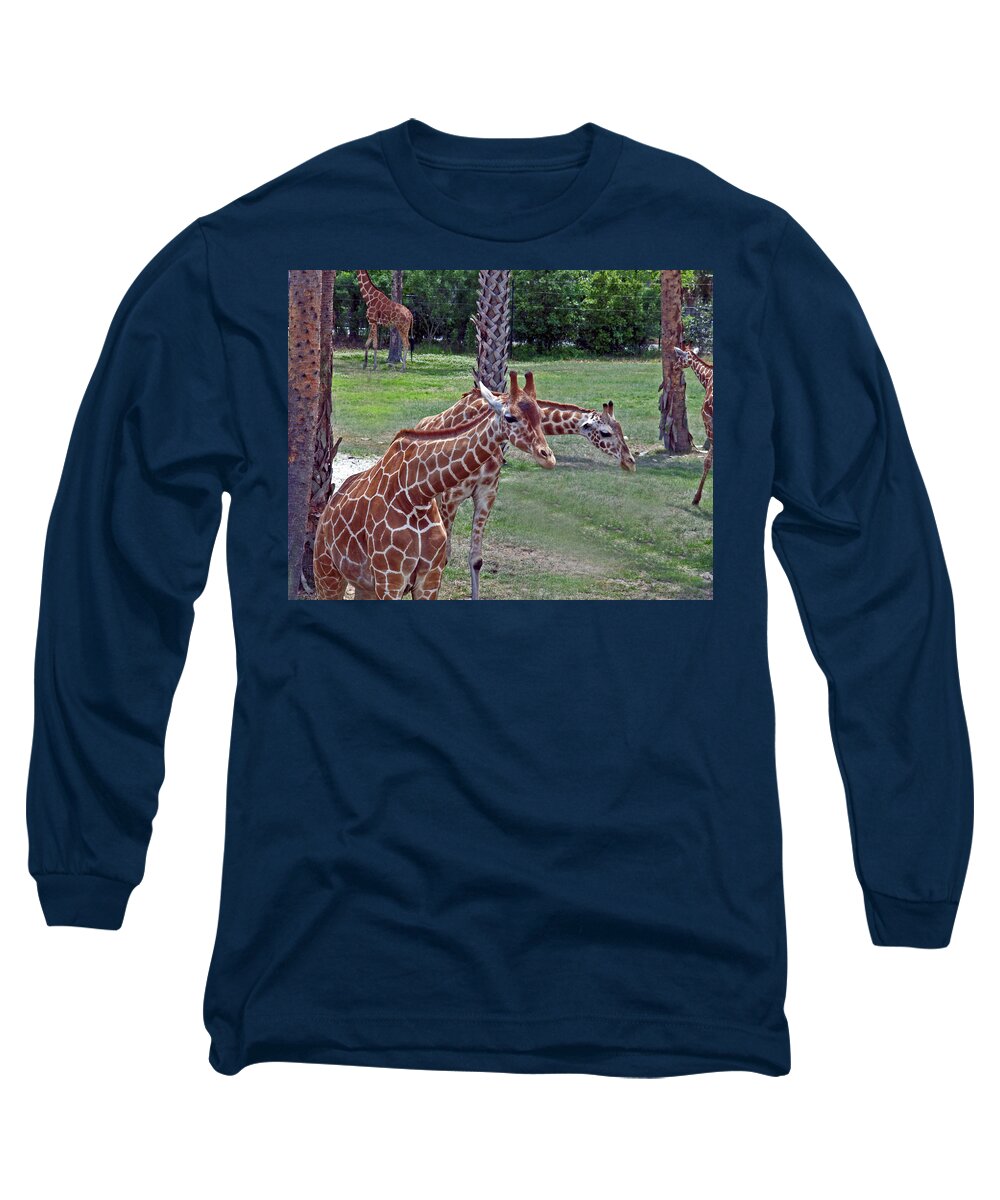 Giraffe Long Sleeve T-Shirt featuring the photograph Here's Looking At You Kid by Bob Johnson
