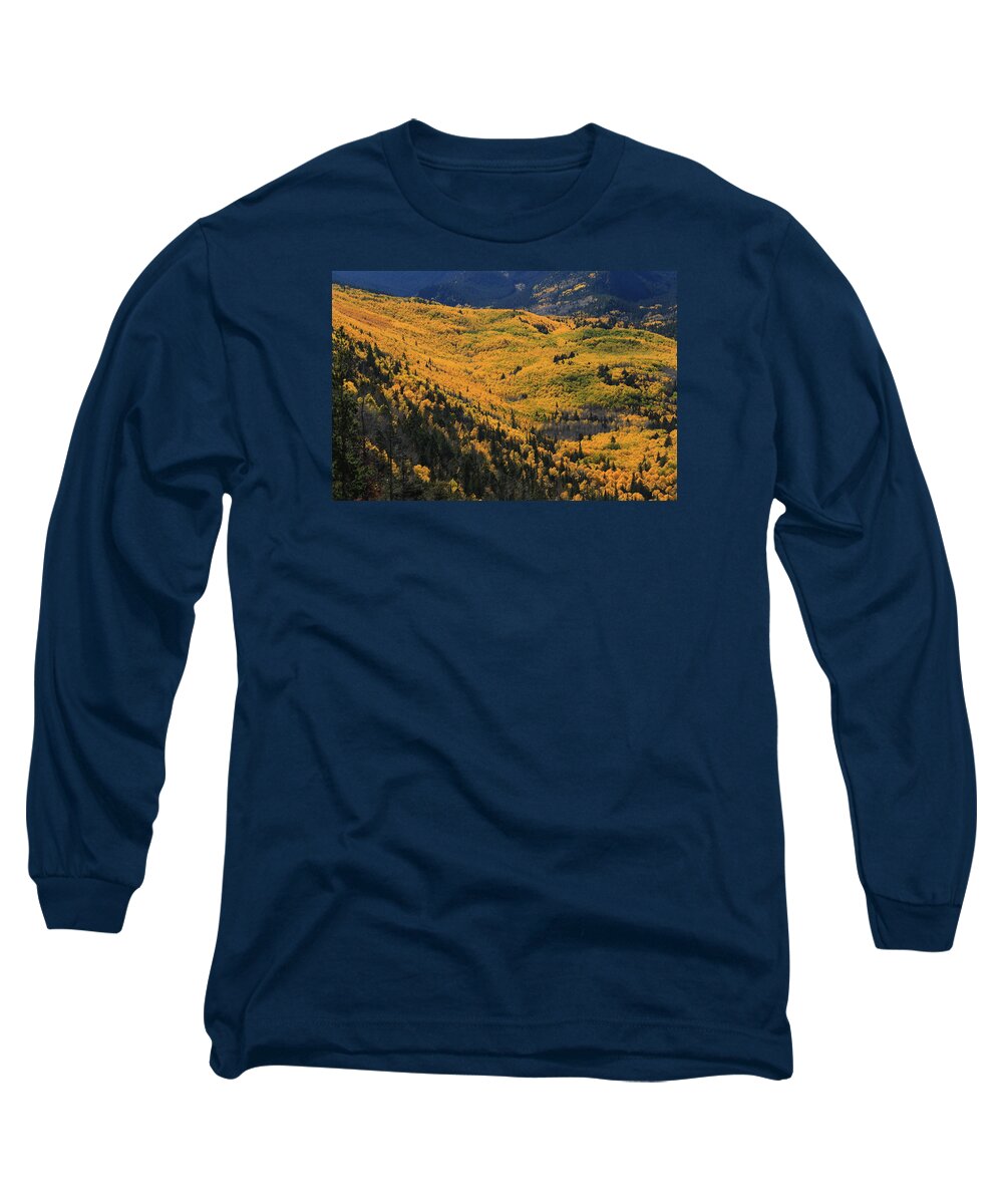 Aspens Long Sleeve T-Shirt featuring the photograph Lockett Meadow Shines by Tom Kelly