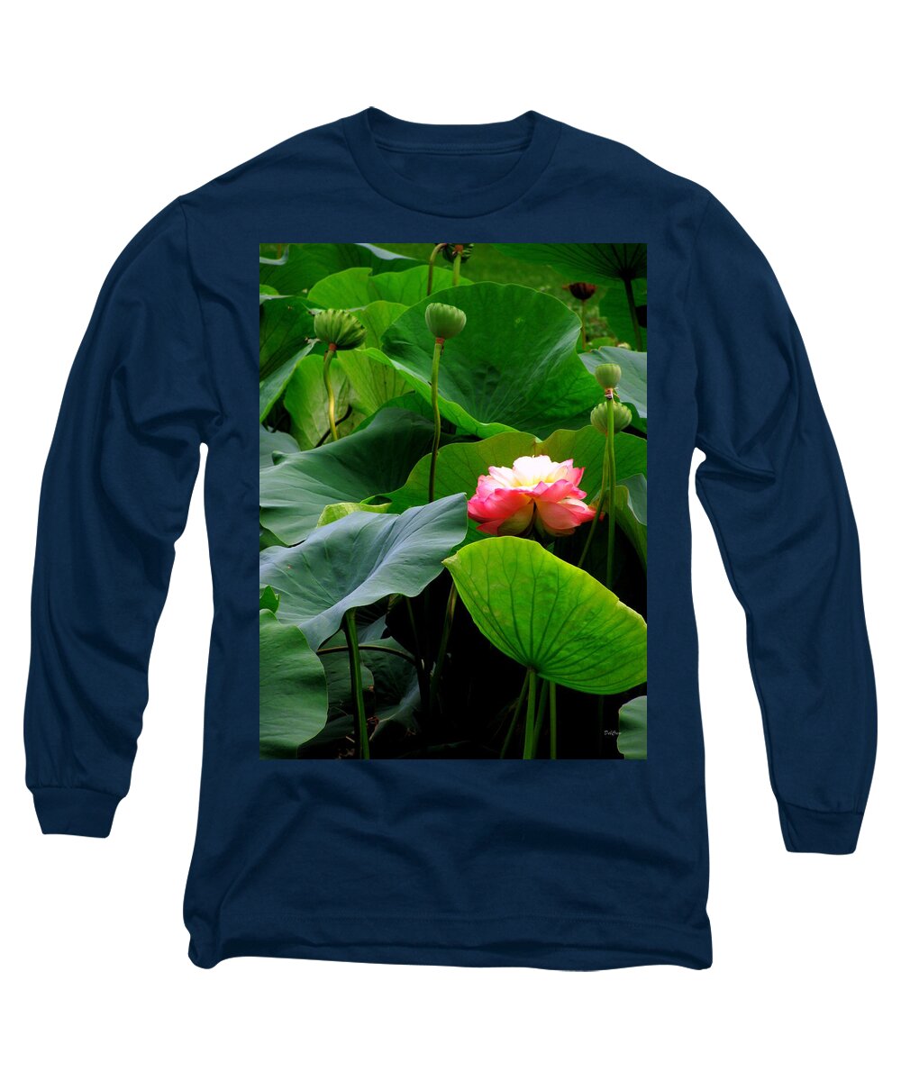 Lotus Long Sleeve T-Shirt featuring the photograph Lotus Forms by Deborah Crew-Johnson
