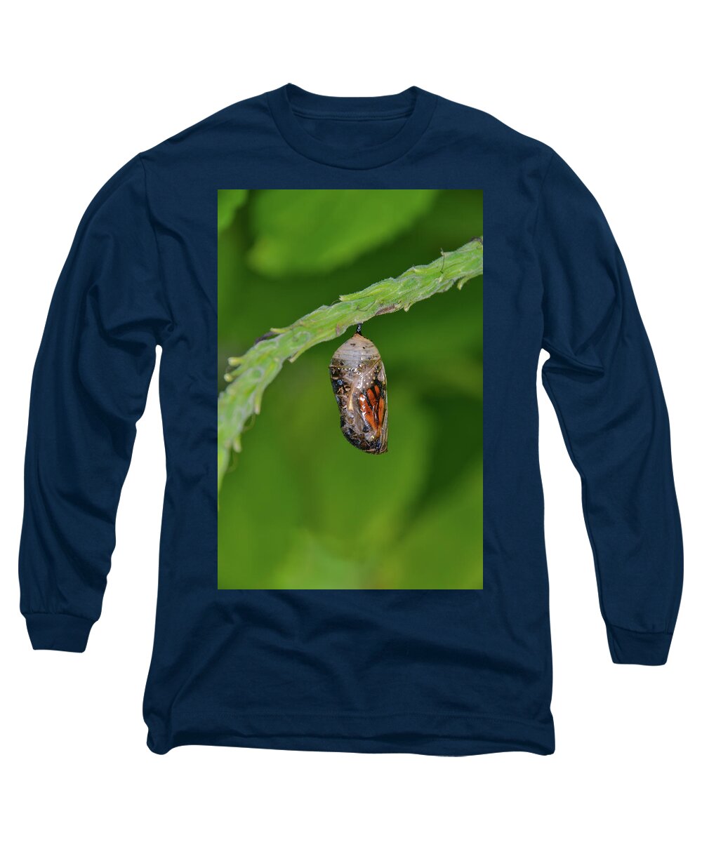 Chrysalis.butterfly Long Sleeve T-Shirt featuring the photograph Monarch Butterfly Chrysalis Showing a Wing by Artful Imagery