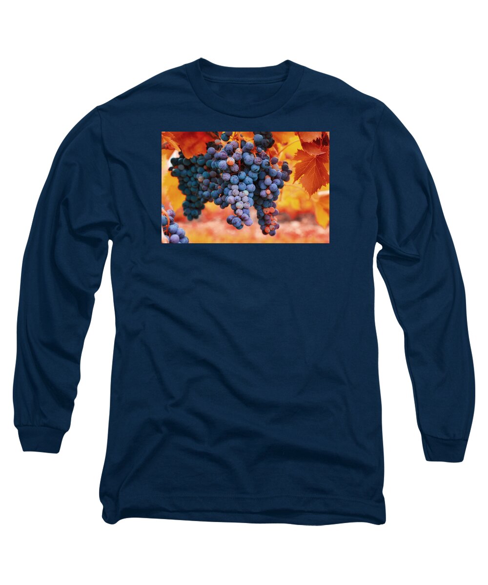 Multicolored Grapes Long Sleeve T-Shirt featuring the photograph Multicolored grapes by Lynn Hopwood