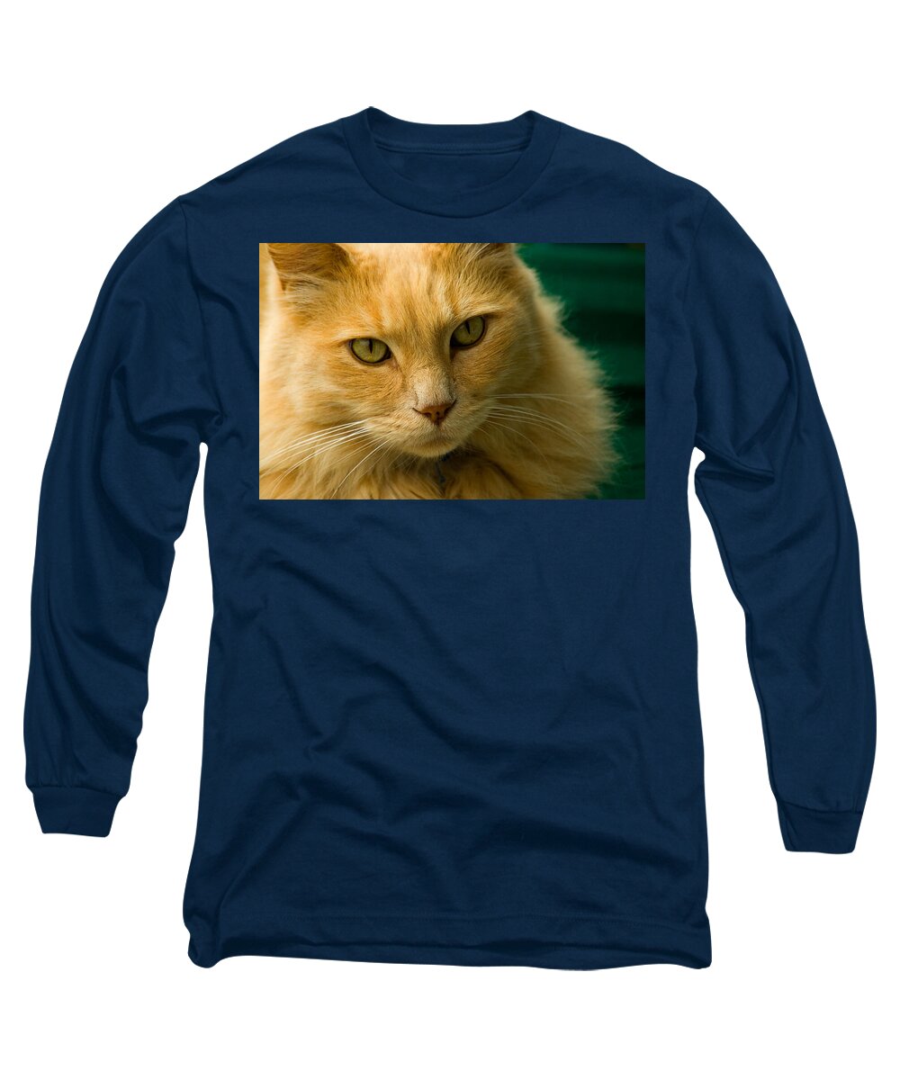 Cat Long Sleeve T-Shirt featuring the photograph Simba the Cat by Harry Spitz