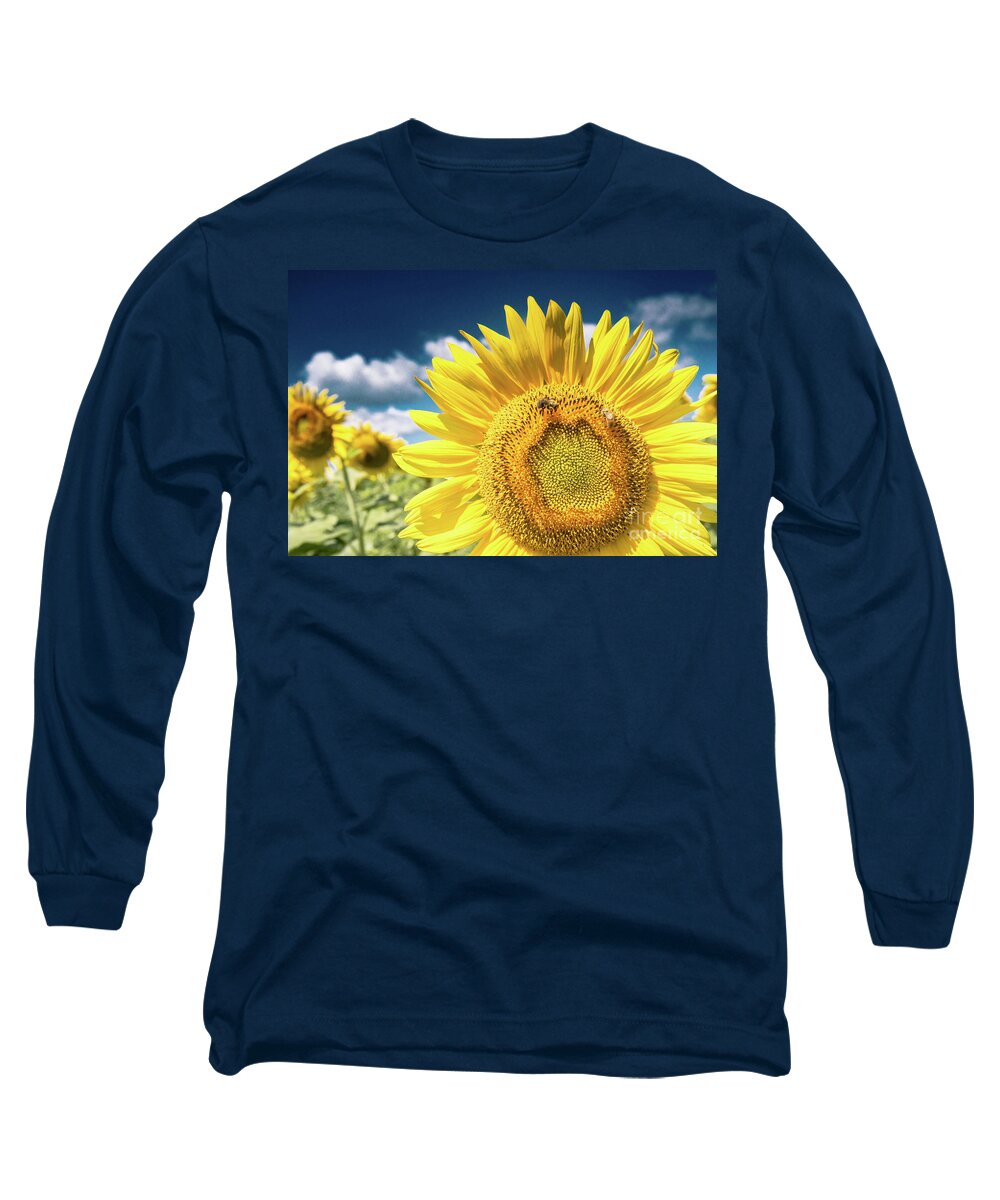 Sunflower Dreams Long Sleeve T-Shirt featuring the photograph Sunflower Dreams by Jim DeLillo