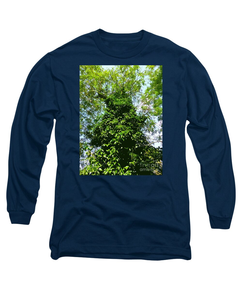 Digital Art Long Sleeve T-Shirt featuring the digital art Tall evergreen Tree by Francesca Mackenney