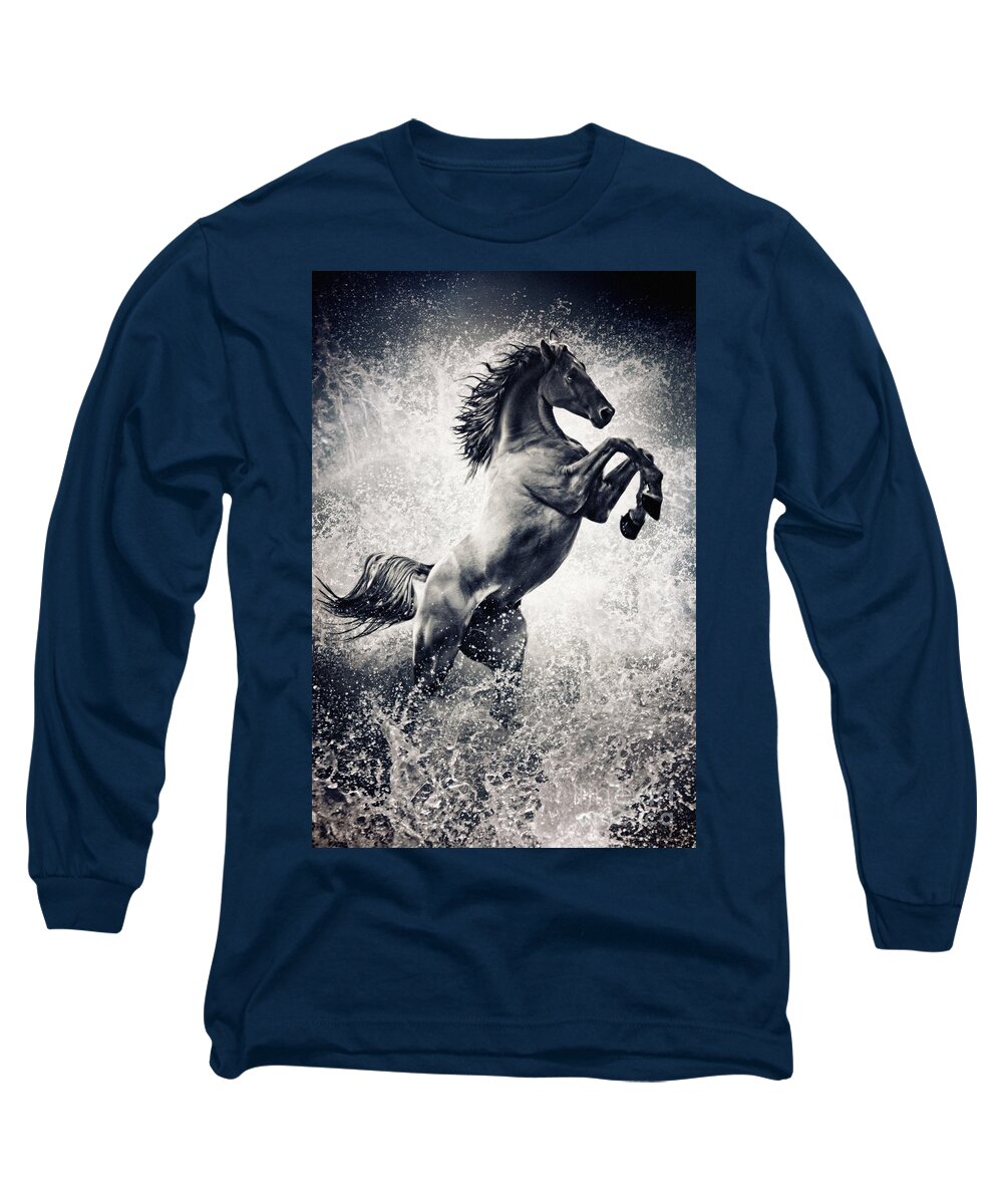 Horse Long Sleeve T-Shirt featuring the photograph The Black Stallion Arabian Horse Reared Up by Dimitar Hristov
