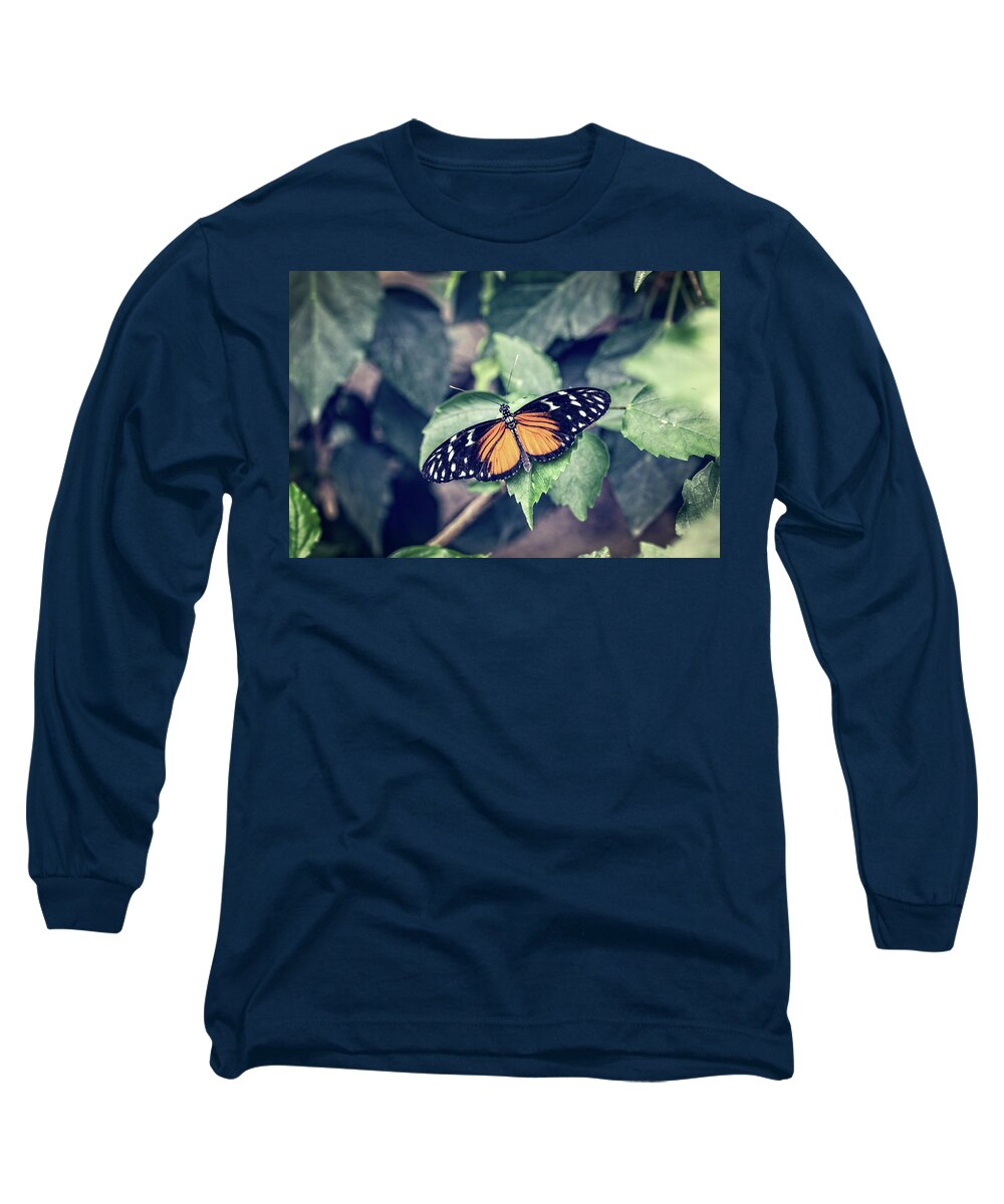 Tiger Long Sleeve T-Shirt featuring the photograph Tiger Longwing Butterfly by Tim Abeln