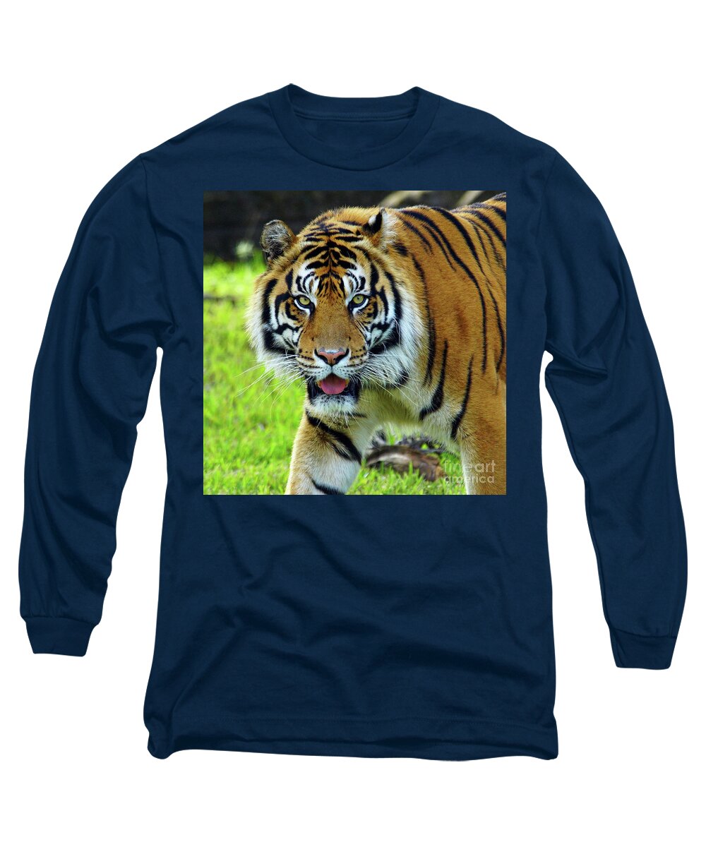 Tiger Long Sleeve T-Shirt featuring the photograph Tiger The Stare by Larry Nieland