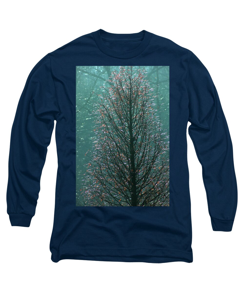 Tree Long Sleeve T-Shirt featuring the photograph Tree in autumn, with red leaves, blue background, sunny day by Emanuel Tanjala
