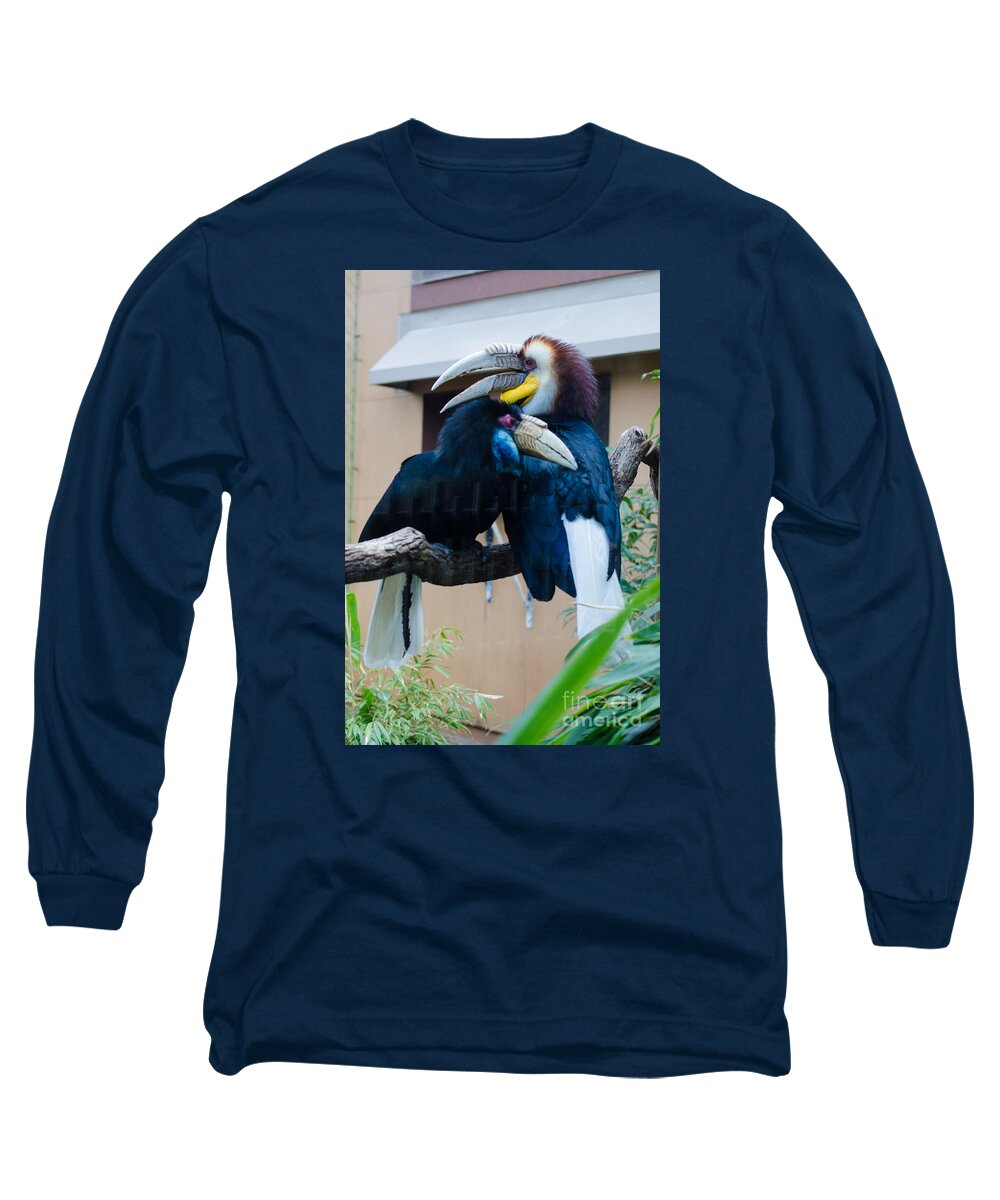 Birds Long Sleeve T-Shirt featuring the photograph Wreathed Hornbills by Donna Brown