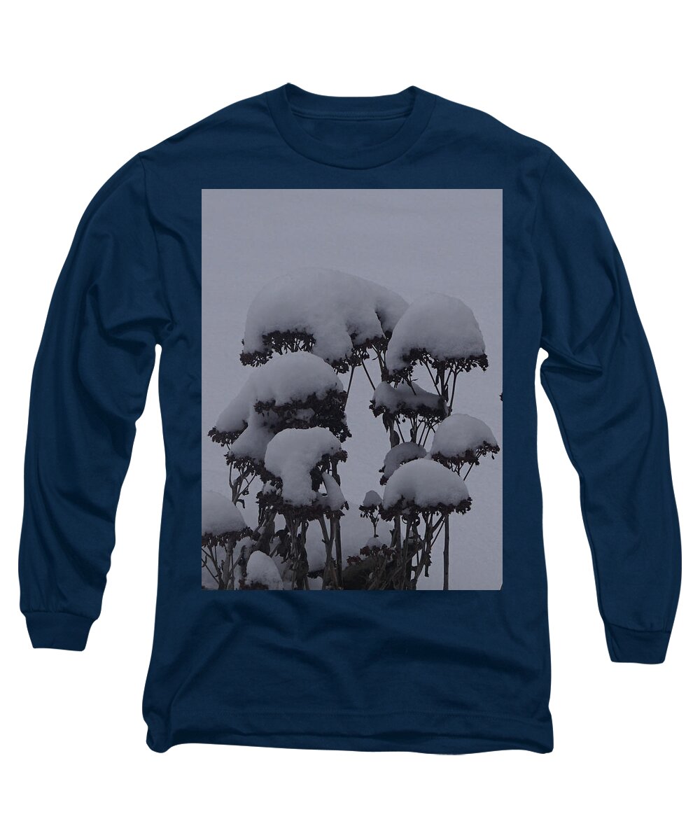 Autumn Glory Long Sleeve T-Shirt featuring the photograph Autumn Glory In Winter by Robert E Alter Reflections of Infinity