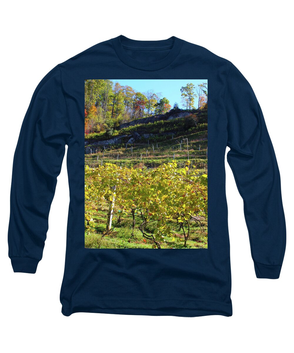Grandfather Mountain Vineyard And Winery Long Sleeve T-Shirt featuring the photograph Autumn Grape Vines And Leaves At Grandfather Vineyard 2 by Cathy Lindsey