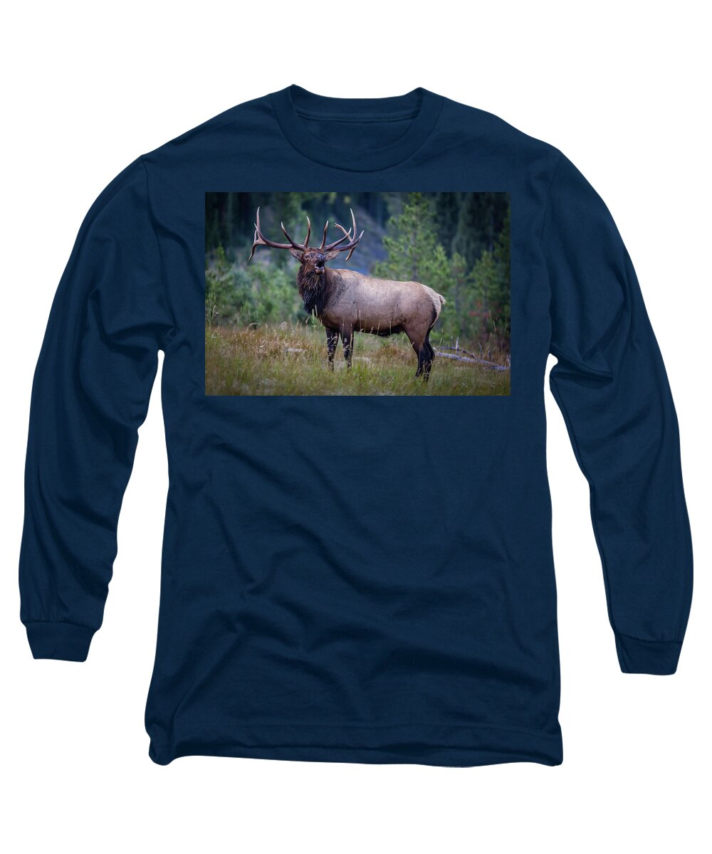 Tapestry Long Sleeve T-Shirt featuring the photograph Bugle Boy by Gary Migues