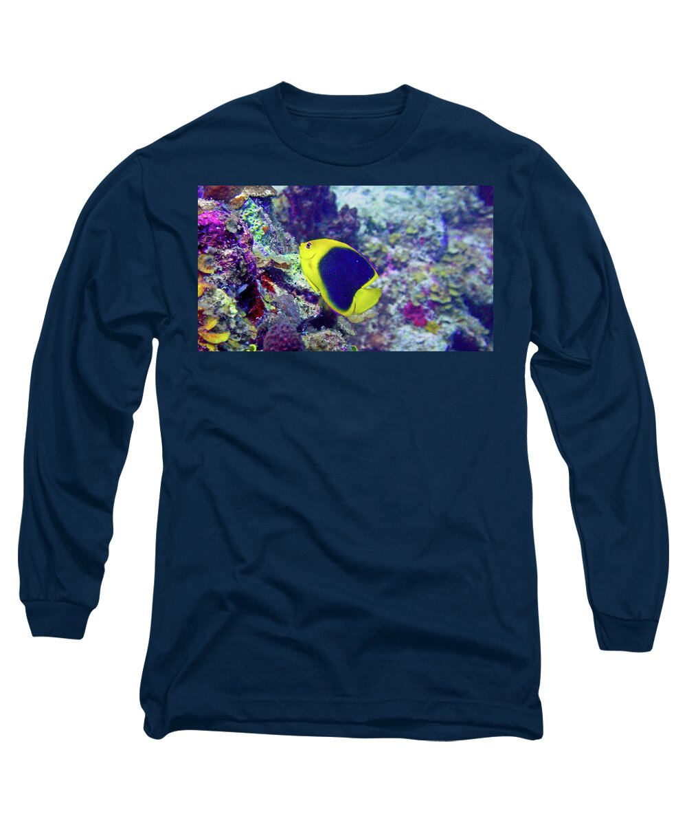 Rock Beauty Long Sleeve T-Shirt featuring the photograph Rock Beauty by Climate Change VI - Sales