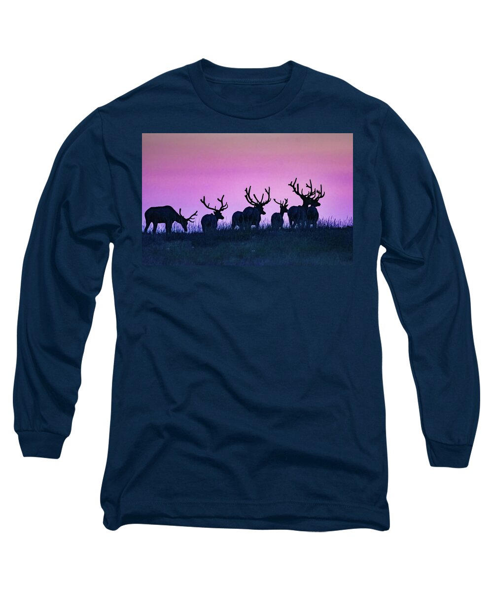 Bull Elk Long Sleeve T-Shirt featuring the photograph Antlers At Dawn by Gary Beeler