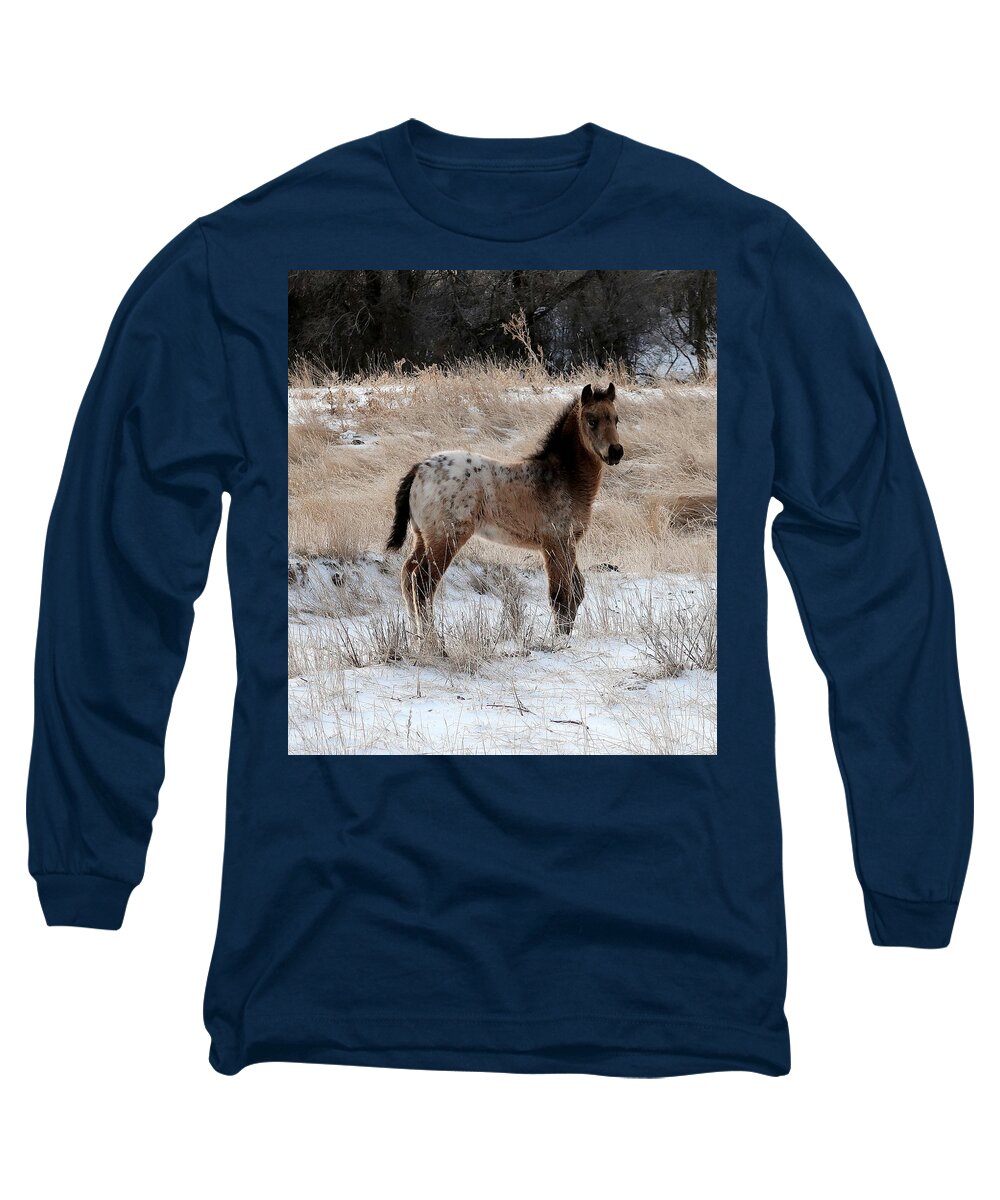 Appaloosa Long Sleeve T-Shirt featuring the photograph Buttons The Buckskin Filly by Katie Keenan