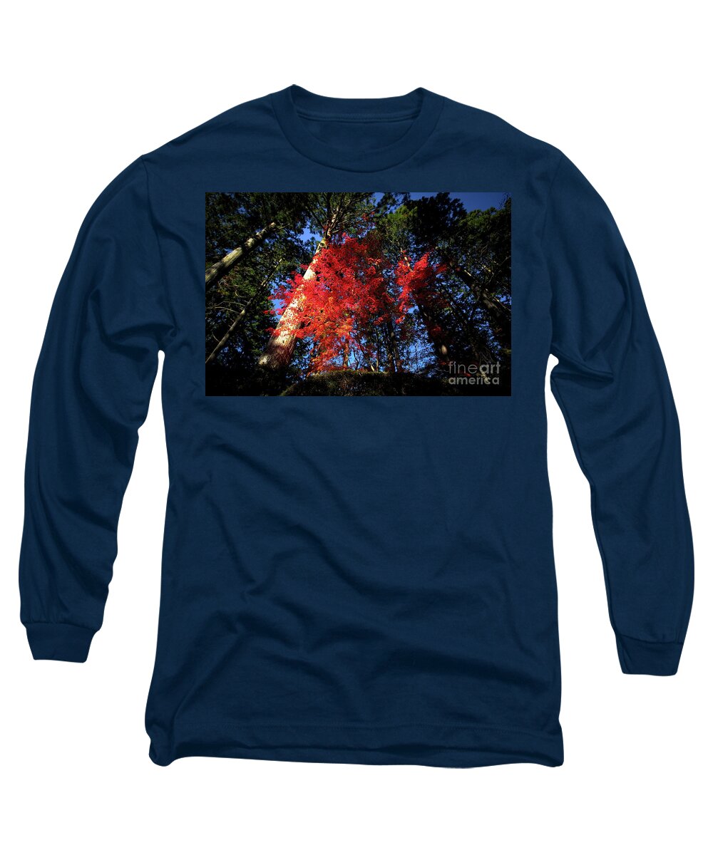 Naturephotography Nature Autumnleaves Trees Long Sleeve T-Shirt featuring the photograph Color 312 by Fine art photographer Julie
