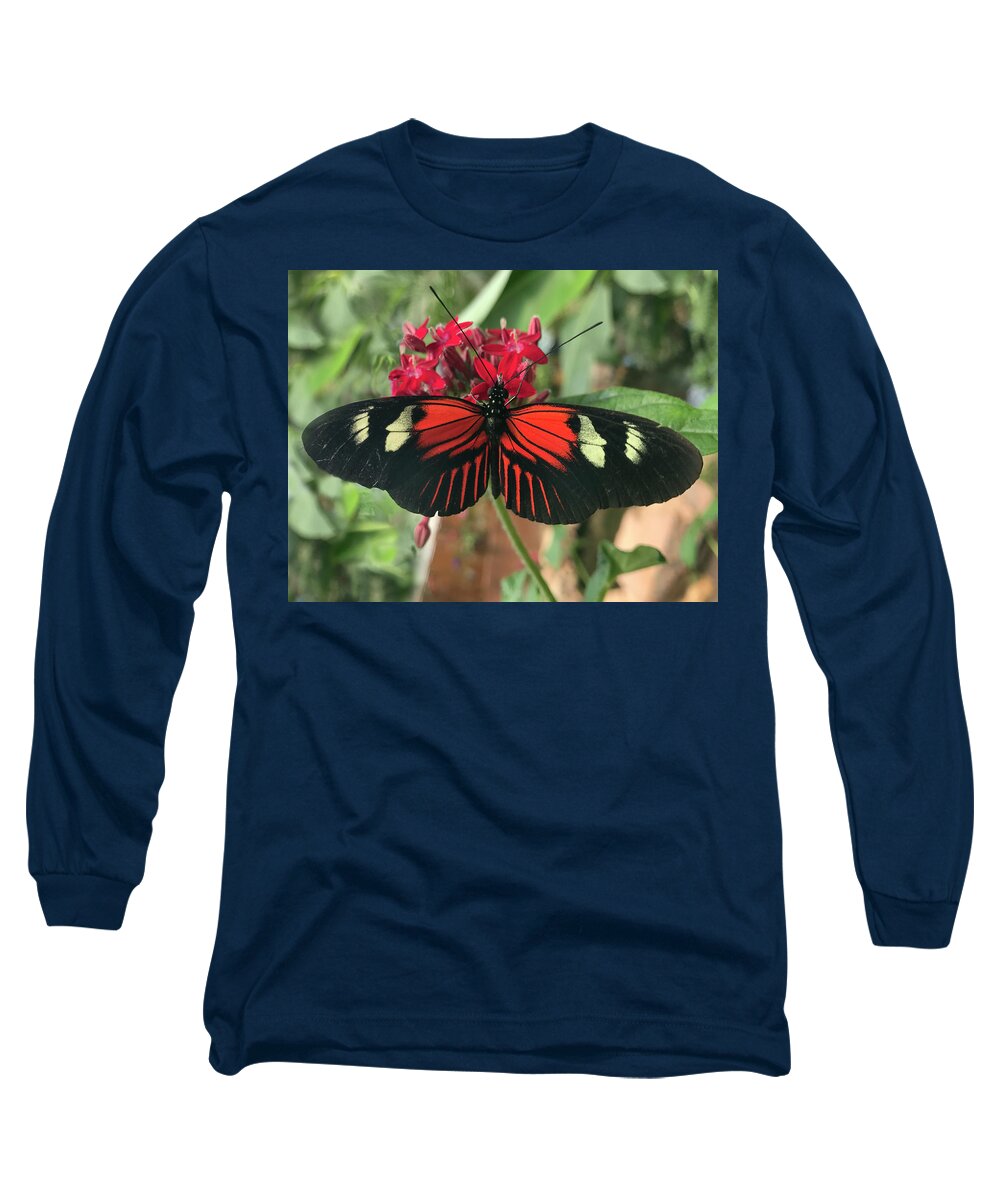 Doris Longway Butterfly Long Sleeve T-Shirt featuring the photograph Doris Longwing Butterfly in Ecuador by Matthew Bamberg