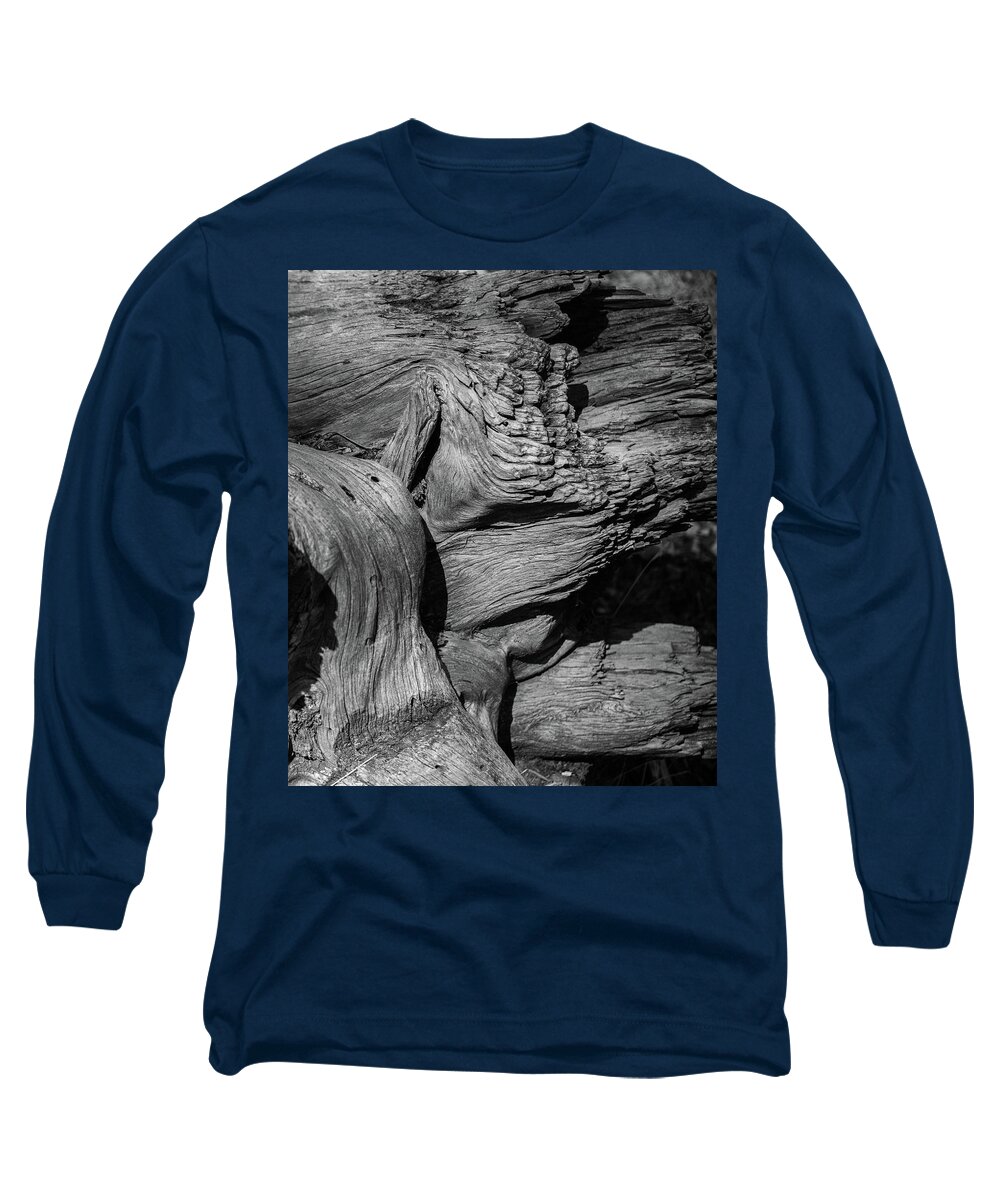 Pine Long Sleeve T-Shirt featuring the photograph Fallen Pine in Black and White by Alan Goldberg
