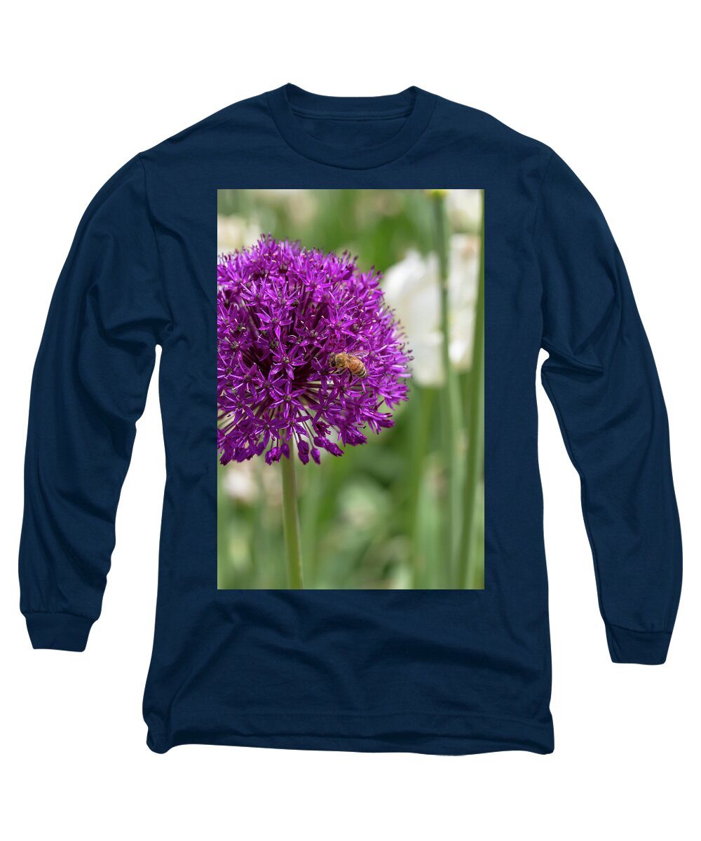 Flower Long Sleeve T-Shirt featuring the photograph Honeybee on Ornamental Onion by Dawn Cavalieri