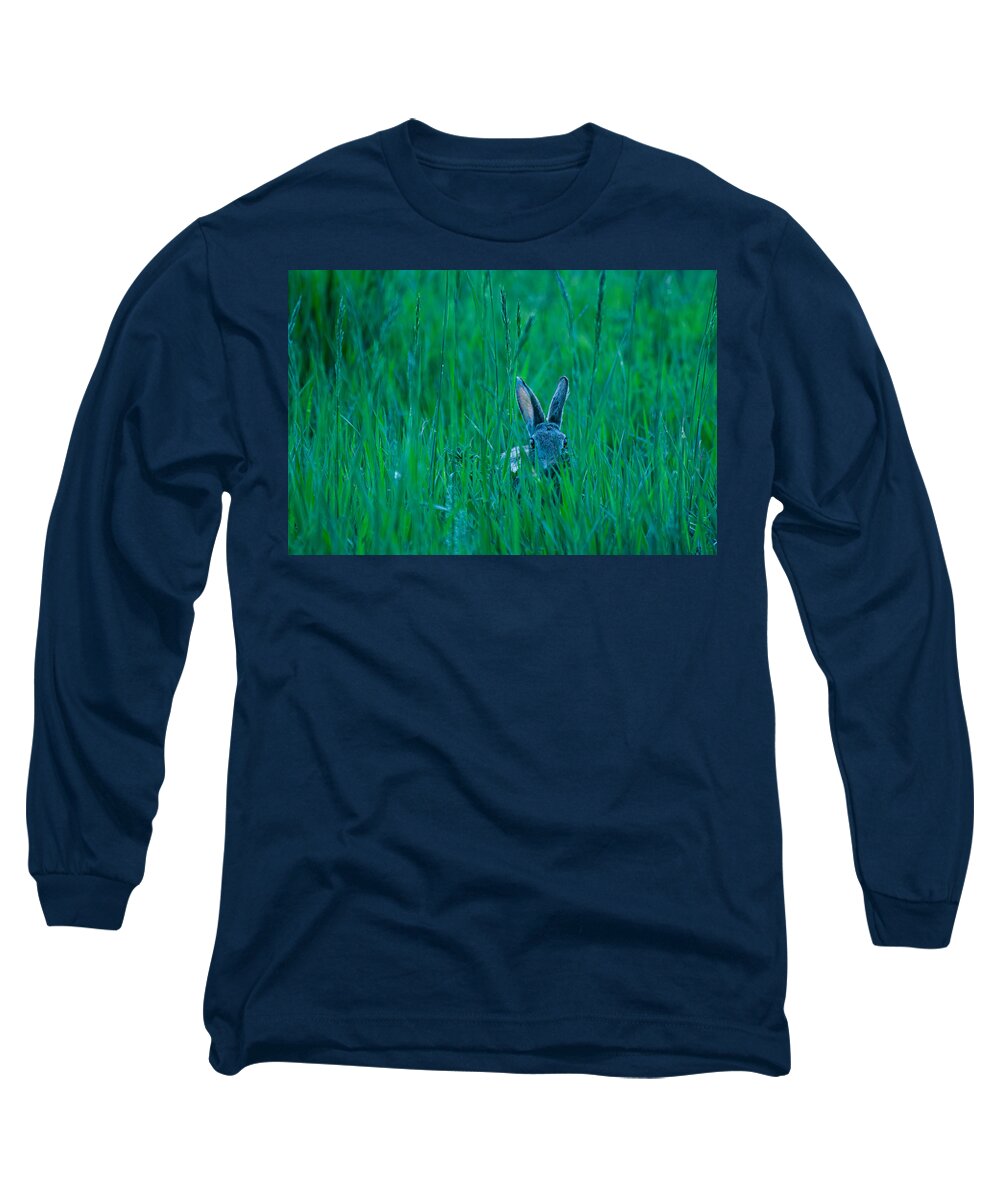 Cottontail Long Sleeve T-Shirt featuring the photograph I see you by Danette Steele