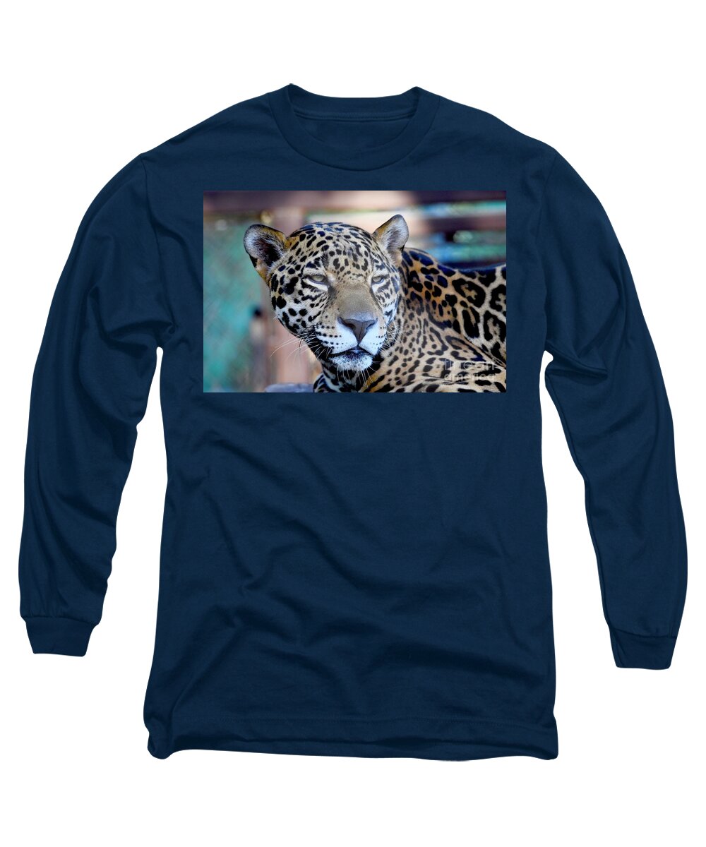 Leopard Long Sleeve T-Shirt featuring the digital art Leopard by Tammy Keyes