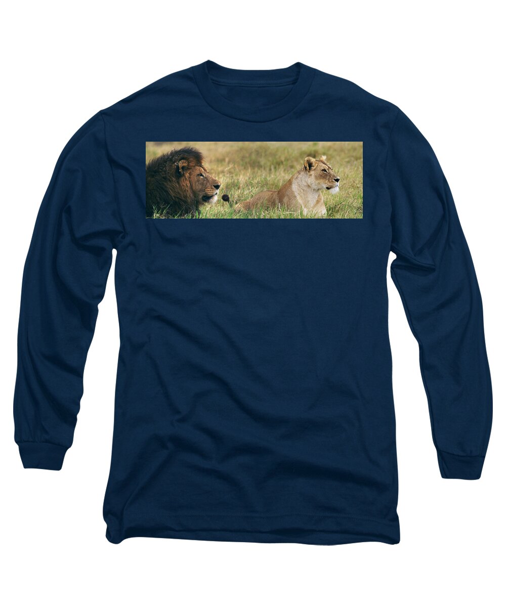 Africa Long Sleeve T-Shirt featuring the photograph Lion and Lioness on African Safari by Bonnie Colgan