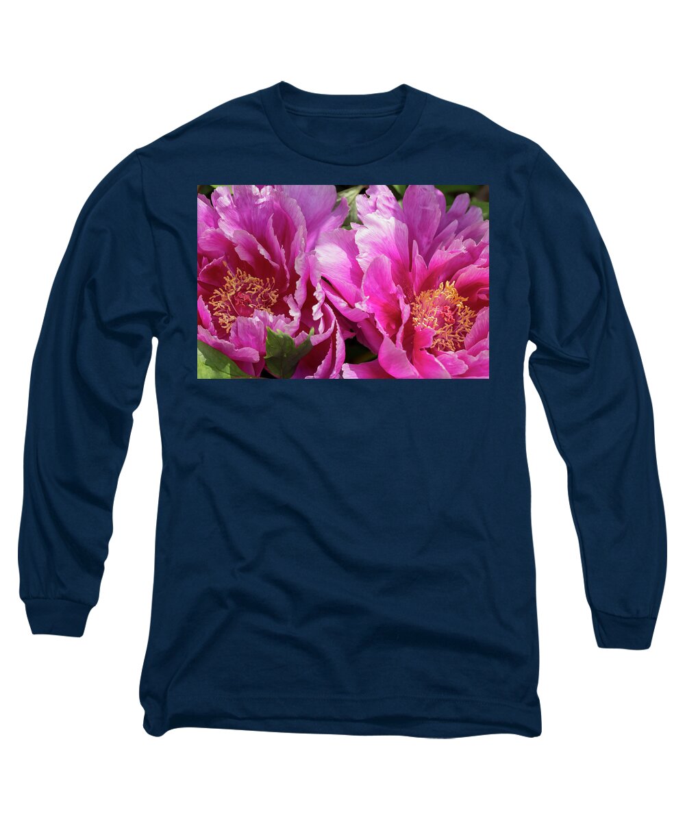 Flower Long Sleeve T-Shirt featuring the photograph Magenta-and-White Tree Peonies by Dawn Cavalieri