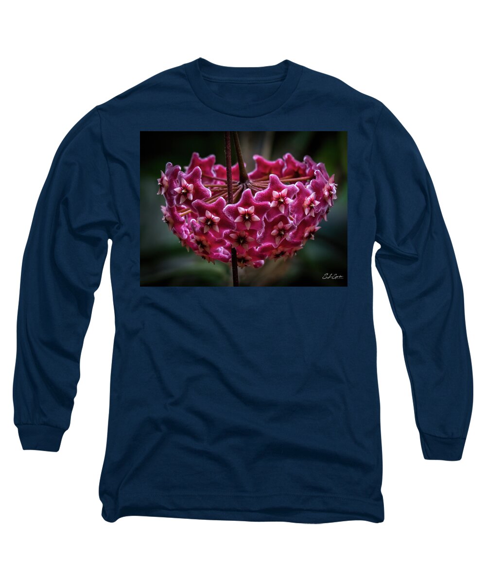 Pink Long Sleeve T-Shirt featuring the photograph Pink Silver Porcelain Flower by Steven Sparks