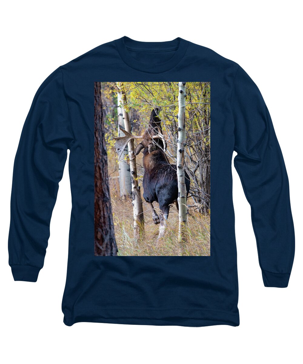 Moose Long Sleeve T-Shirt featuring the photograph Reaching Up by Darlene Bushue
