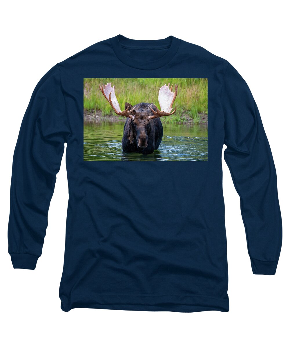 Moose Long Sleeve T-Shirt featuring the photograph Shedding the Velvet by Darlene Bushue