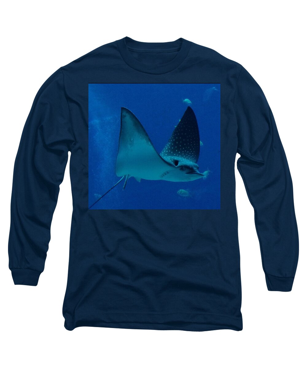 Fish. Stingray Long Sleeve T-Shirt featuring the photograph Stingray by Bess Carter