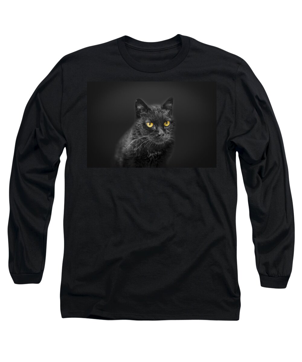 Animal Long Sleeve T-Shirt featuring the photograph Black Cat #1 by Peter Lakomy