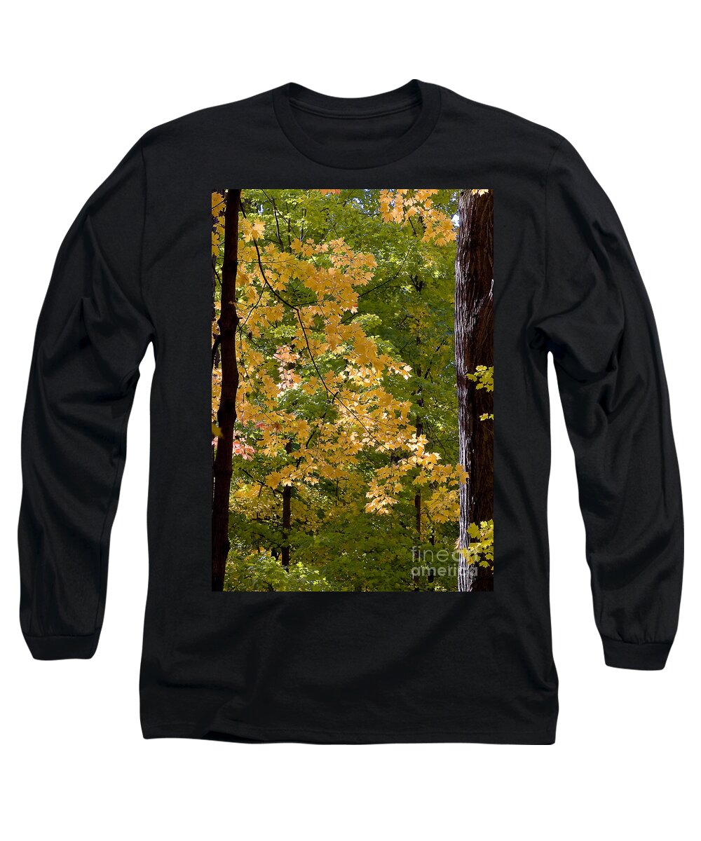 Autumn Long Sleeve T-Shirt featuring the photograph Fall Maples #1 by Steven Ralser